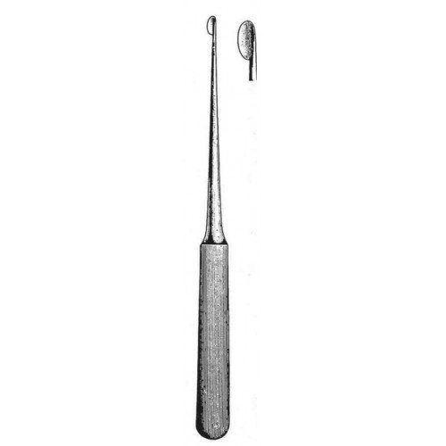 Rhinology