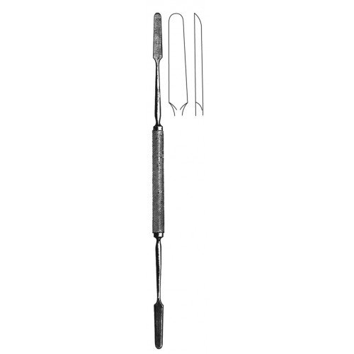 Rhinology