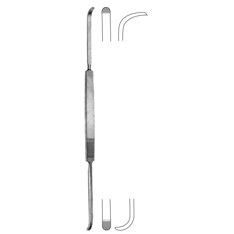 Rhinology