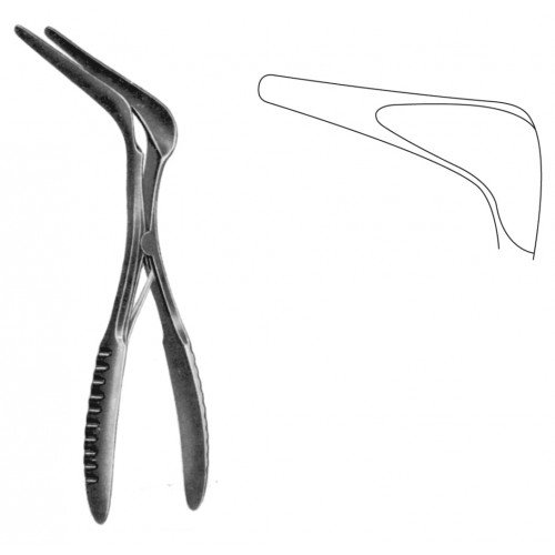  RHINOLOGY