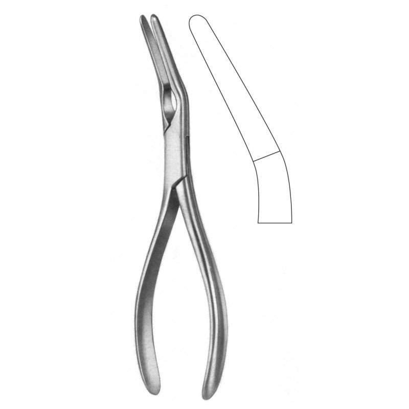 Rhinology