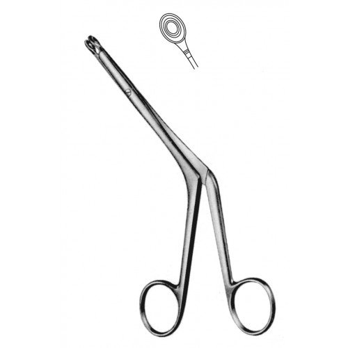Rhinology
