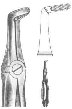 Extracting Forceps English pattern 