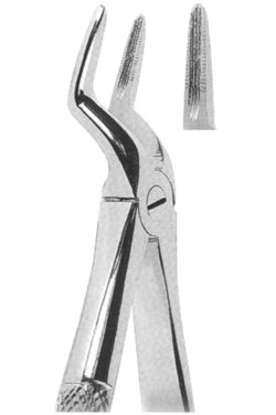 Extracting Forceps English pattern 
