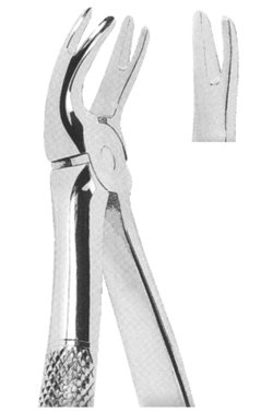 Extracting Forceps English pattern 