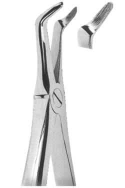 Extracting Forceps English pattern 