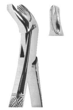 Extracting Forceps American pattern 