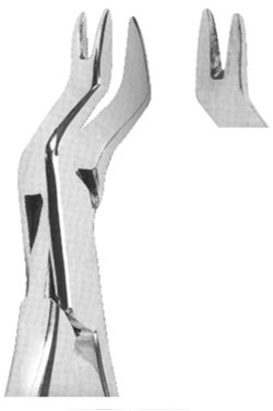 Extracting Forceps American pattern 