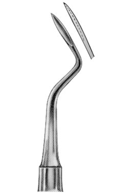 Root Elvators 