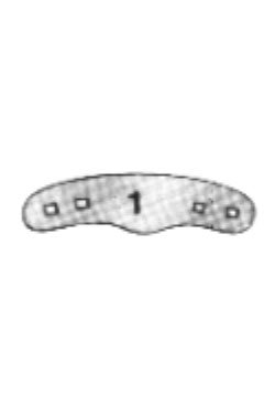 Matrix Bands 