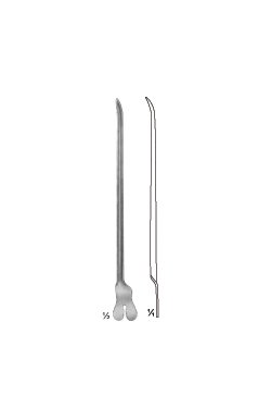 Doyen